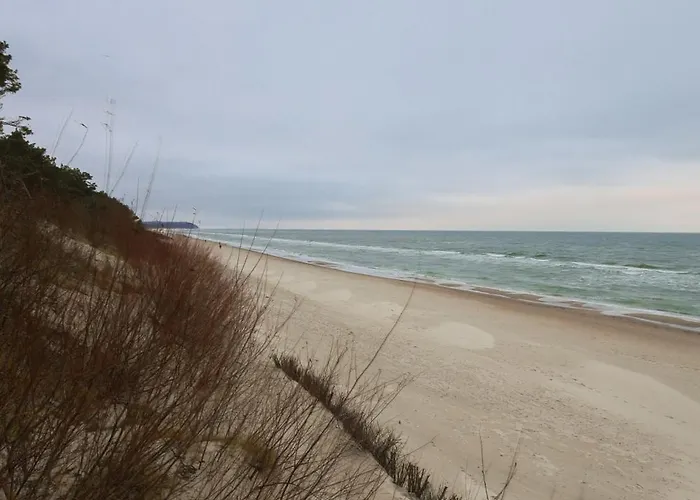 Premium Baltic House ミエンジボジェ